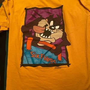 Vintage Taz T-shirt from Six Flags